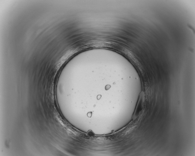 X0000100220986200806201503