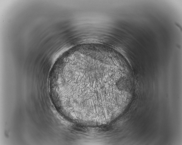 X0000100220987200806201503