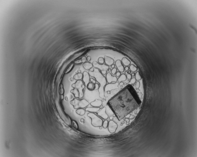 X0000100220988200806201503