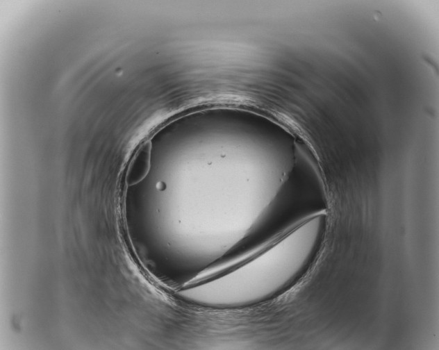 X0000100220989200806201503