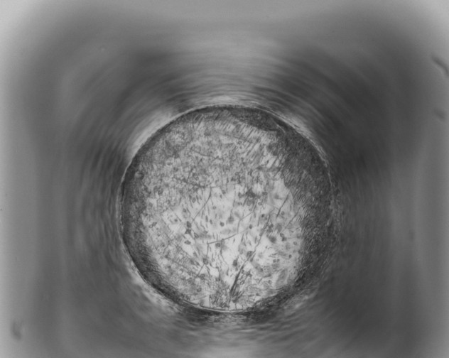 X0000100220991200806201503