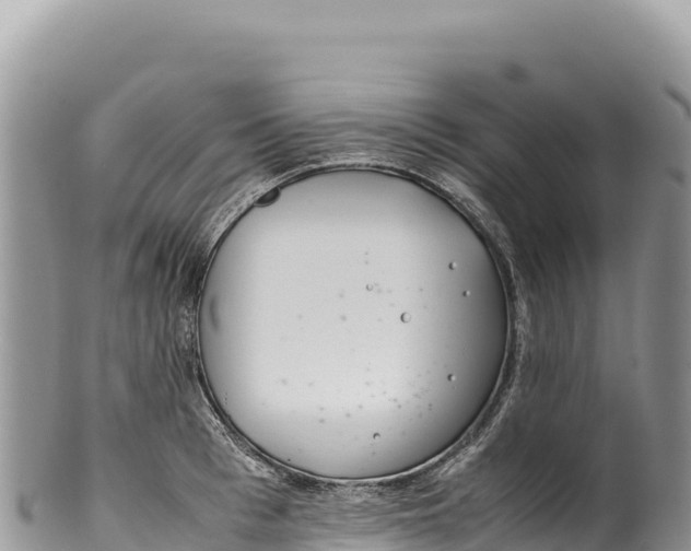 X0000100220993200806201503