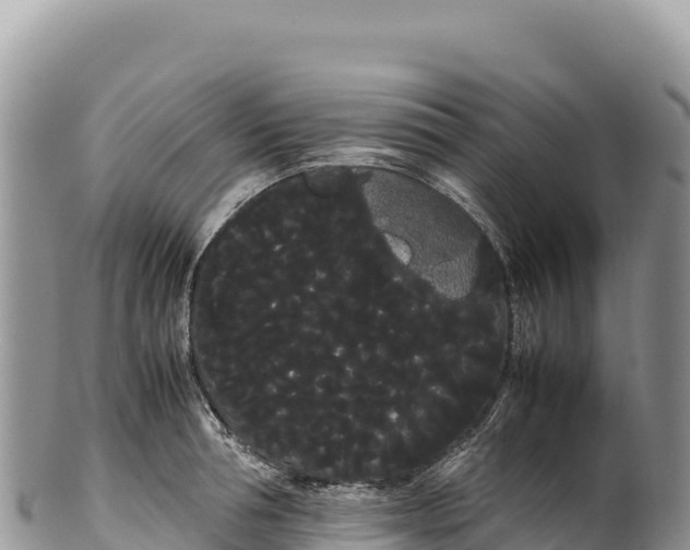 X0000100220994200806201503