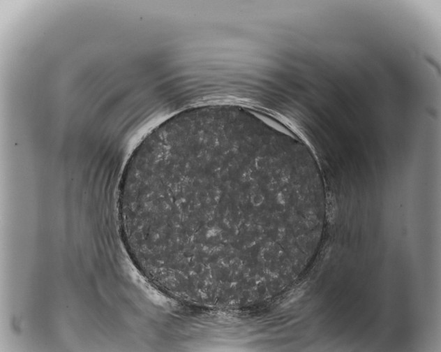 X0000100220995200806201503