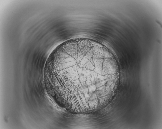 X0000100220996200806201503