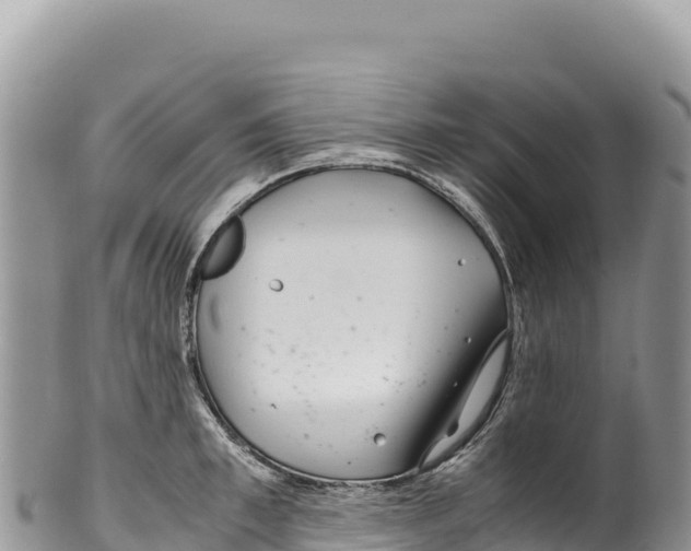 X0000100220997200806201503