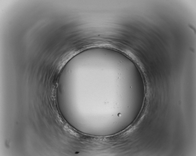 X0000100221001200806201503