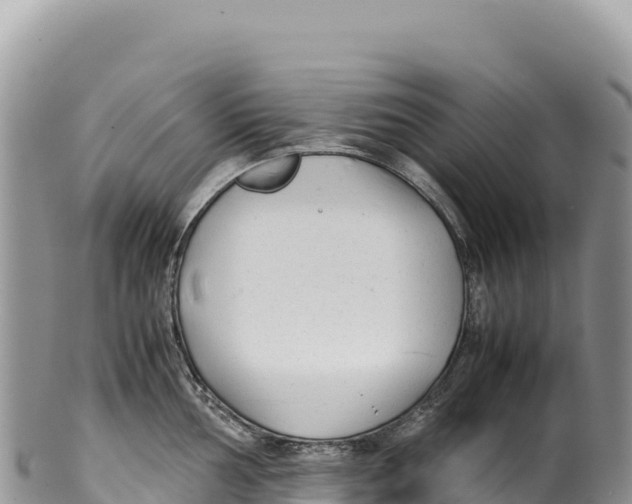 X0000100221002200806201503