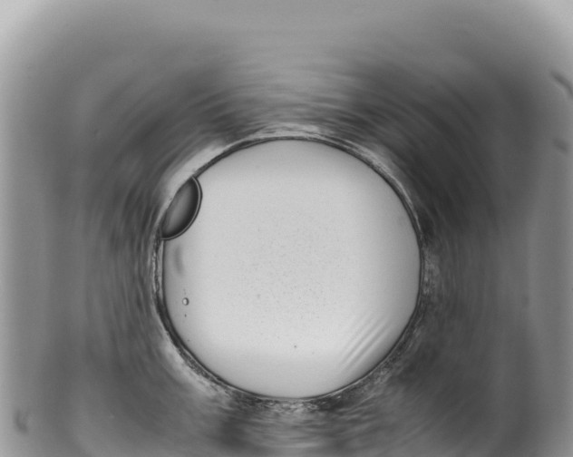 X0000100221003200806201503