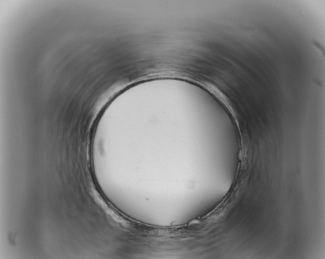 X0000100221005200806201503