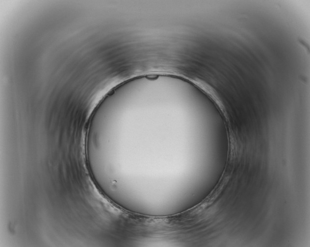 X0000100221006200806201503