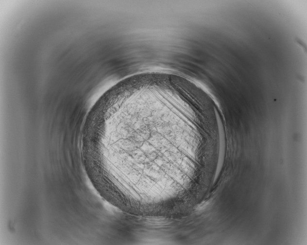 X0000100221007200806201503