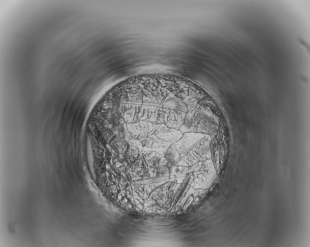 X0000100221008200806201503