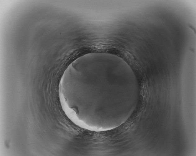 X0000100221009200806201502