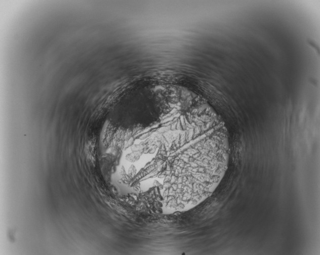 X0000100221010200806201502