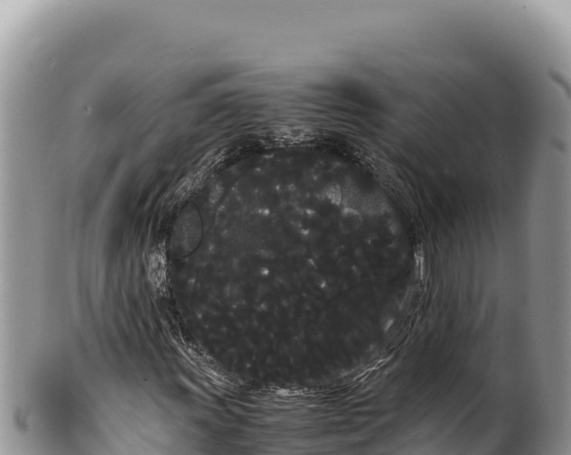 X0000100221011200806201502