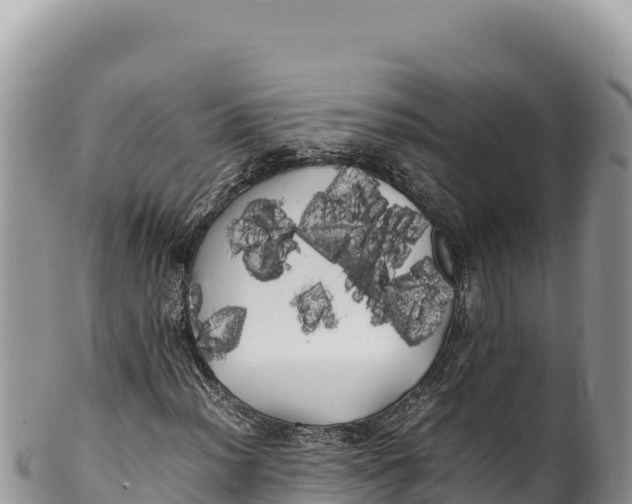 X0000100221012200806201502