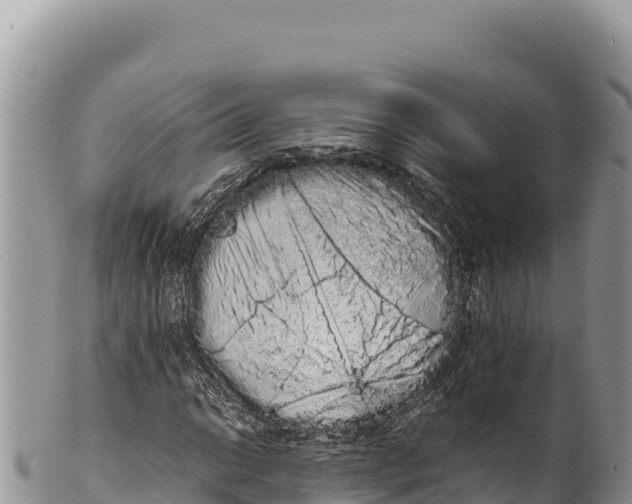 X0000100221014200806201502