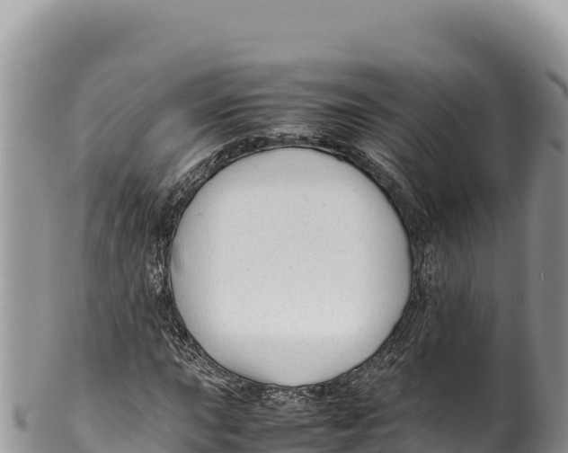 X0000100221015200806201502