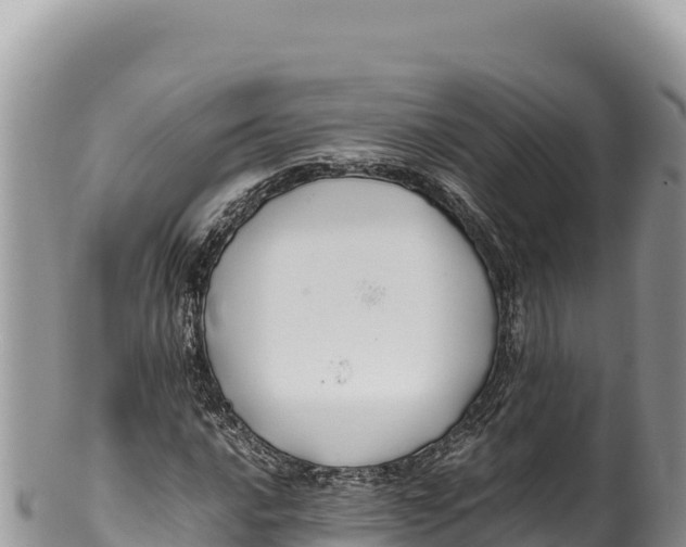 X0000100221016200806201503