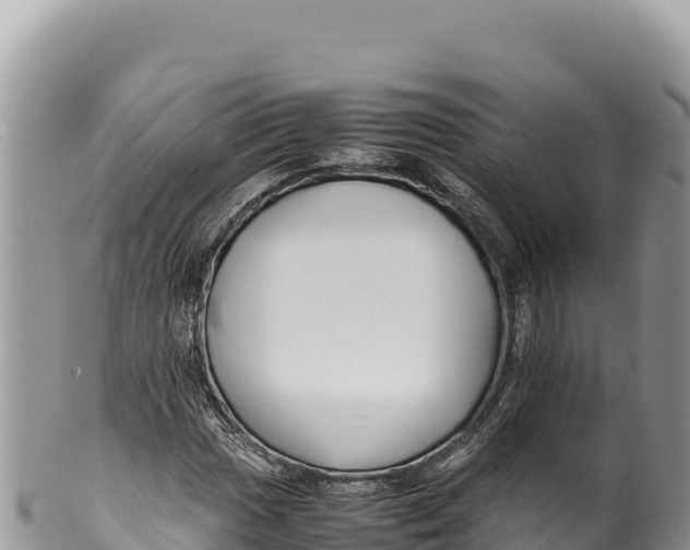 X0000100221017200806201503