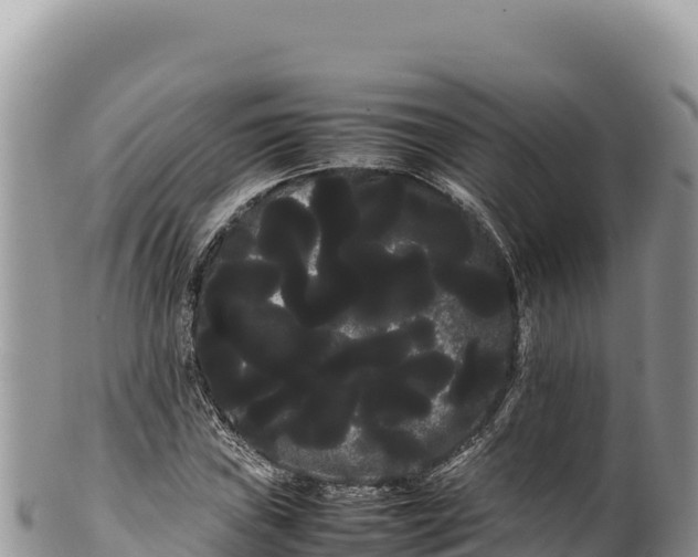 X0000100221019200806201503