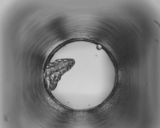 X0000100221020200806201503