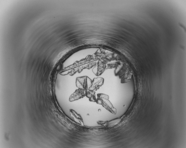 X0000100221022200806201503