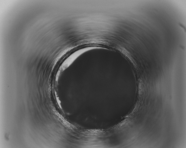 X0000100221024200806201503