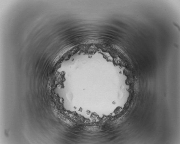 X0000100221025200806201503