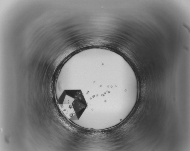 X0000100221026200806201503