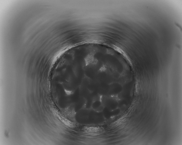 X0000100221027200806201503