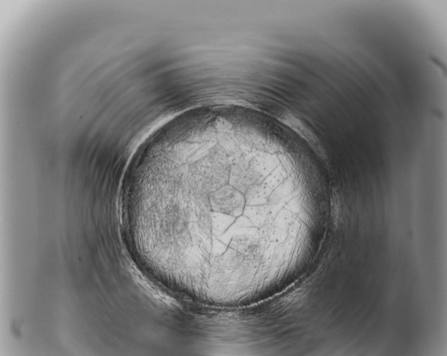 X0000100221028200806201503