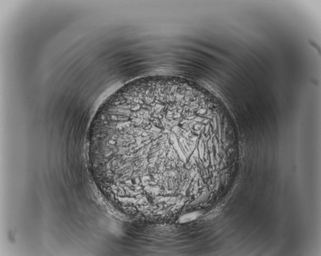 X0000100221029200806201503