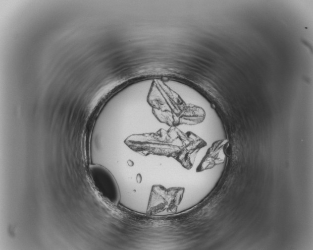 X0000100221030200806201503