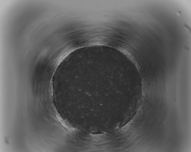 X0000100221031200806201503