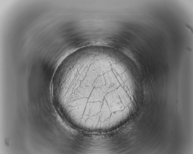 X0000100221032200806201503