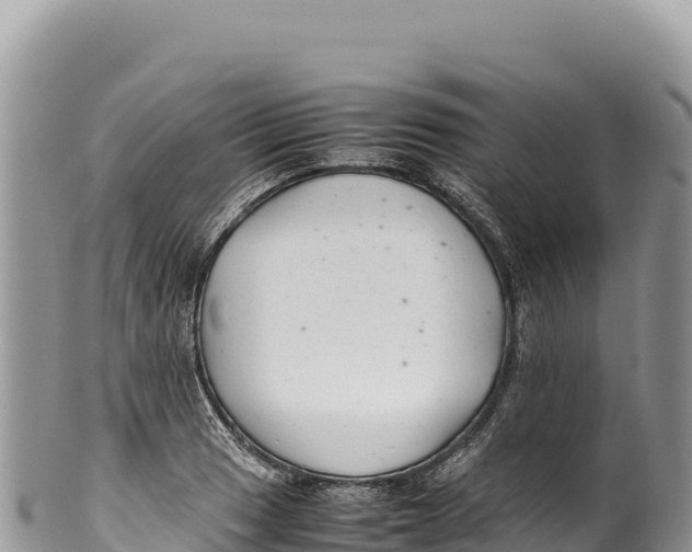 X0000100221033200806201503