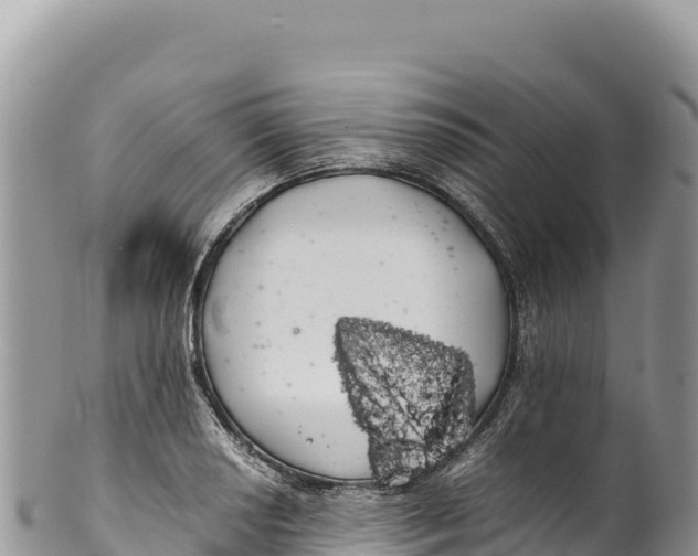 X0000100221034200806201503