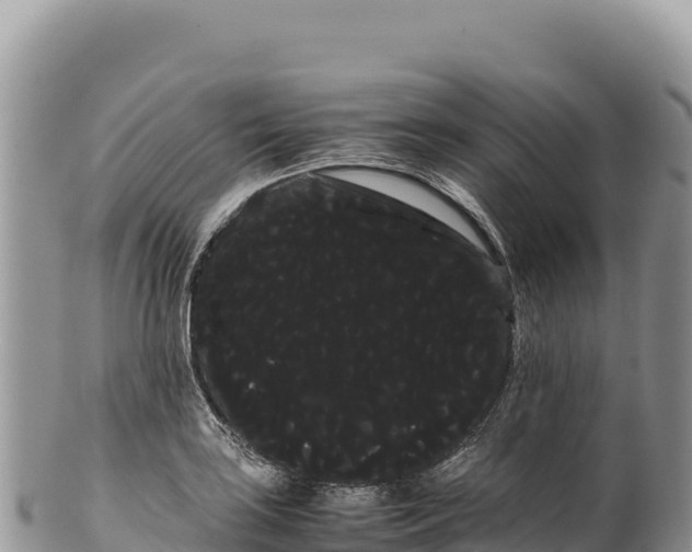 X0000100221035200806201503