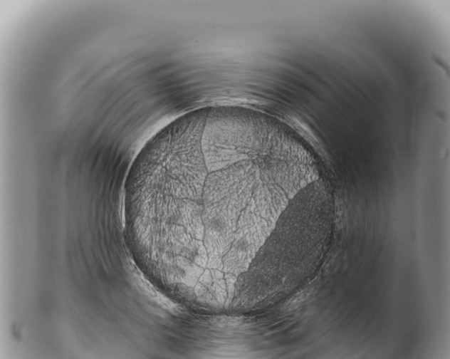 X0000100221036200806201503