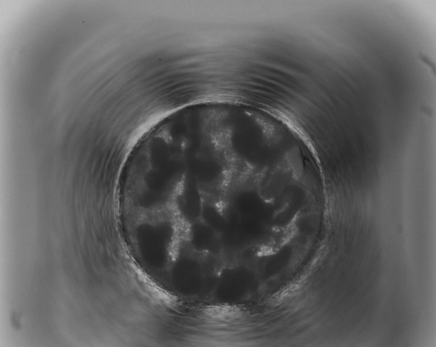 X0000100221037200806201503