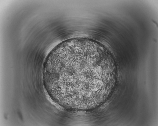 X0000100221038200806201503