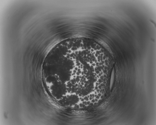 X0000100221039200806201503