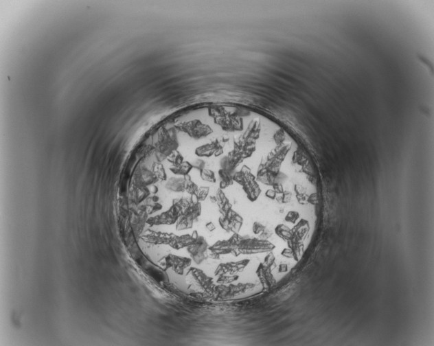 X0000100221040200806201503