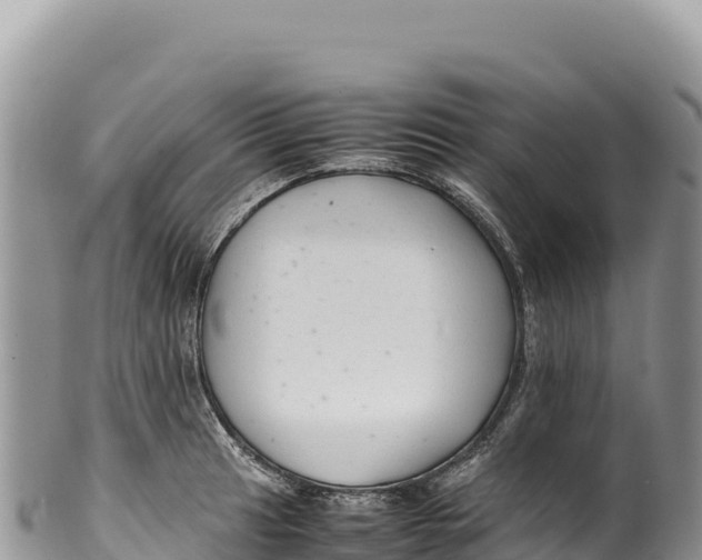 X0000100221041200806201503