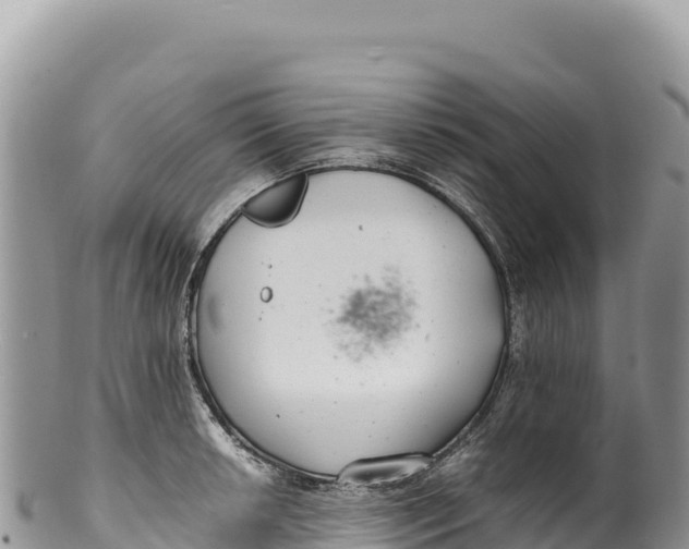 X0000100221042200806201503