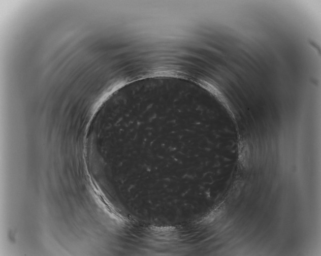 X0000100221043200806201503