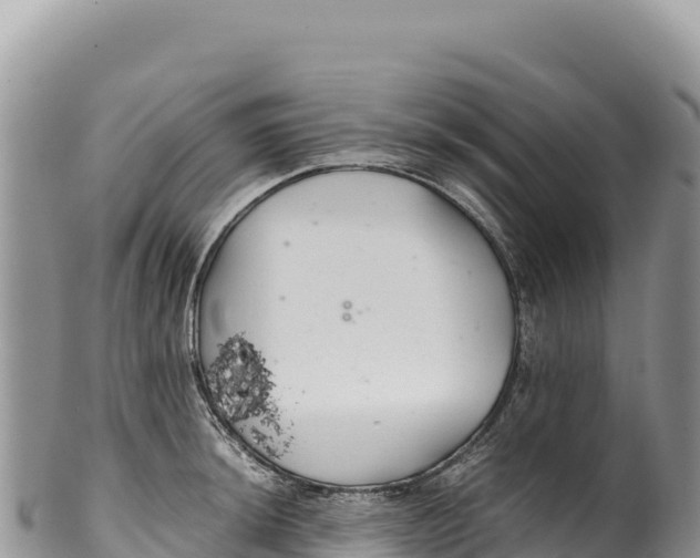 X0000100221044200806201503