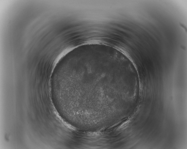 X0000100221045200806201503